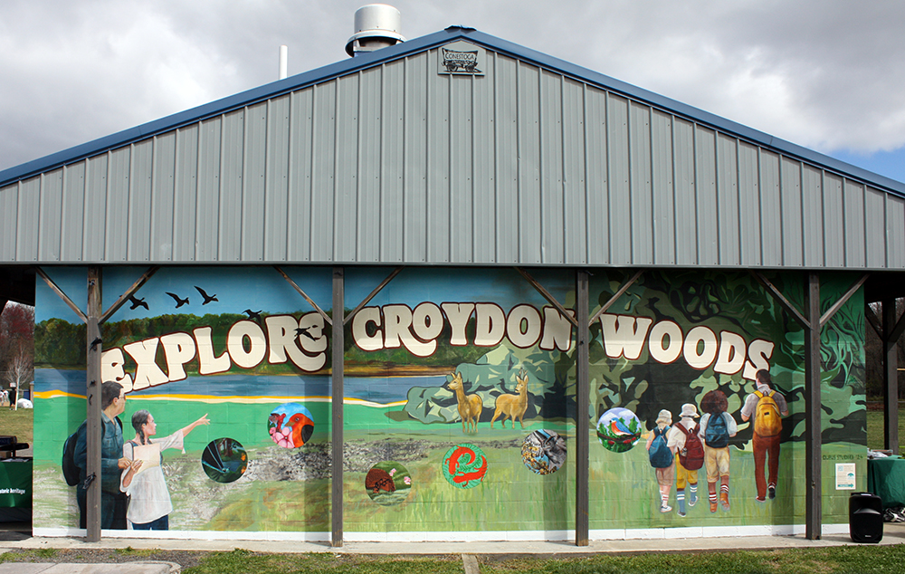 Croydon Woods Mural Ignites Exploration